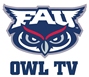Owl TV Payments
