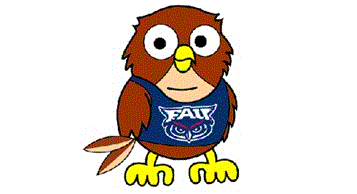 Image result for fau owl